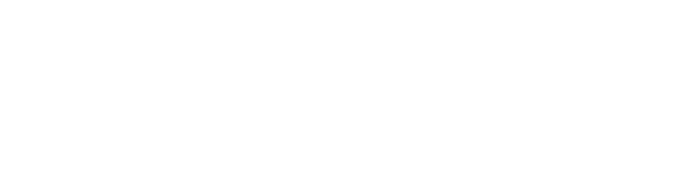 내신일타